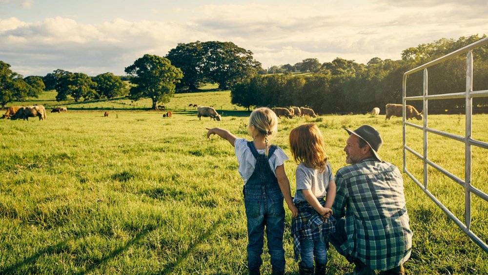 fermes-famille